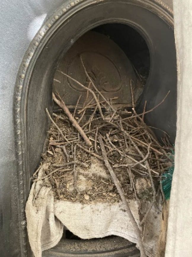 Twig and Leaf Removal